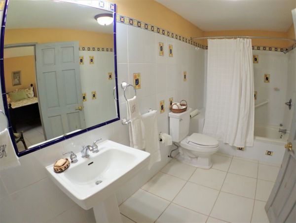 Jamaica Home 960426