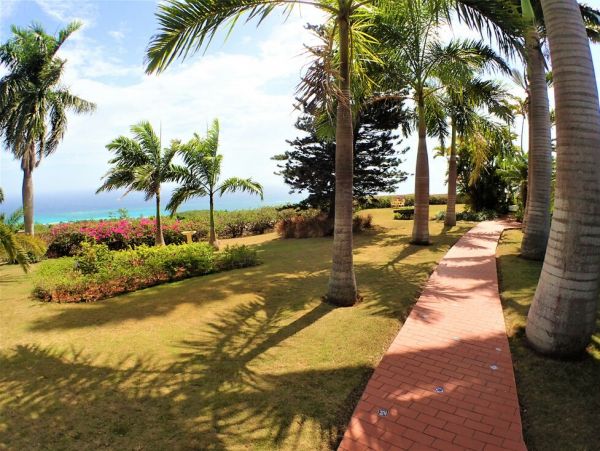 Jamaica Home 960428