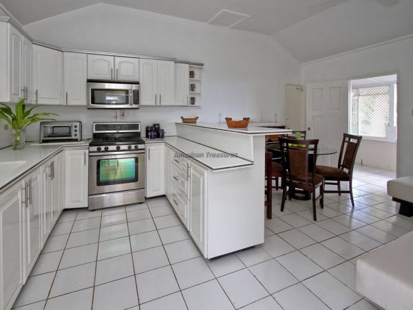 Jamaica Home 960434