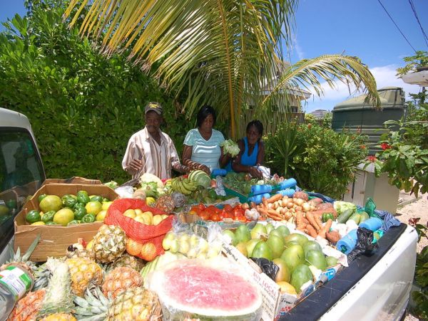Jamaica Home 960442