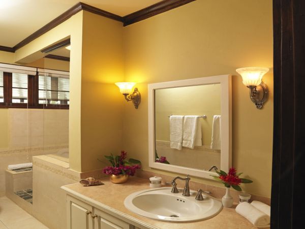 Jamaica Home 960445
