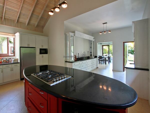 Jamaica Home 960463