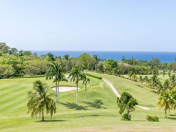 Jamaica Home 960478