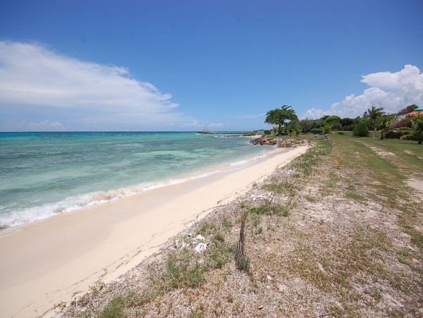 Jamaica Home 960481