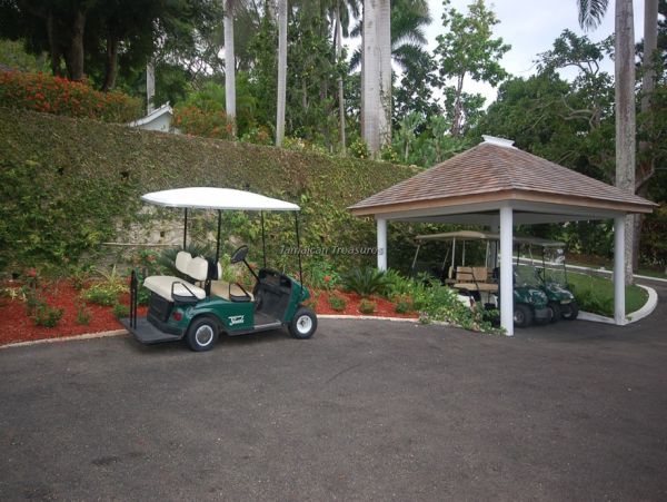 Jamaica Home 960483