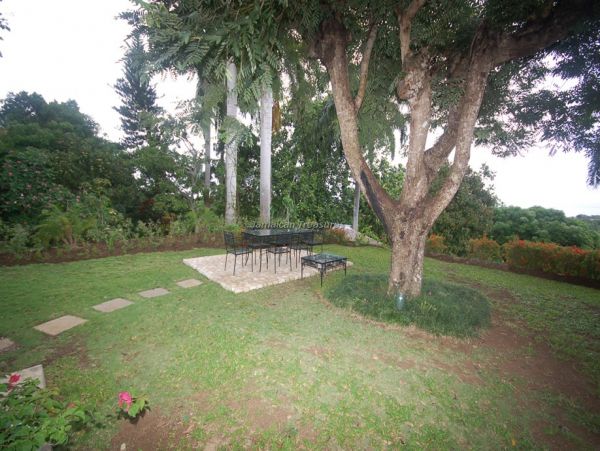 Jamaica Home 960483