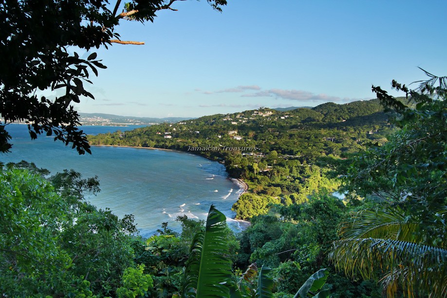 Jamaica Home 960513