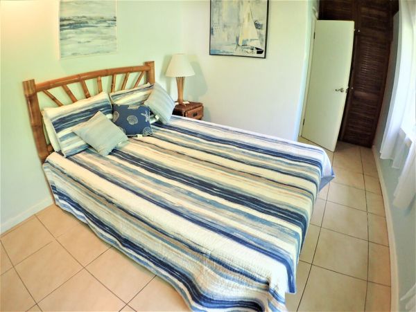 Jamaica Home 960516
