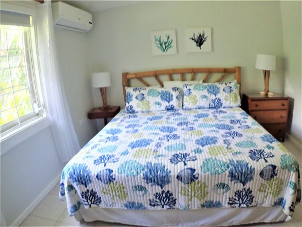 Jamaica Home 960519