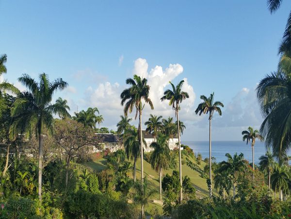 Jamaica Home 960530
