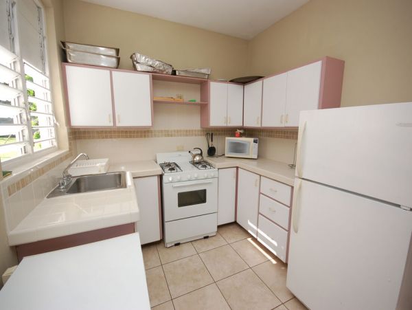 Jamaica Home 960533
