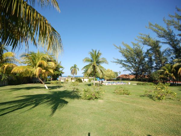 Jamaica Home 960533
