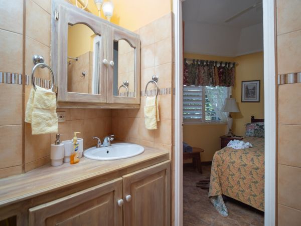 Jamaica Home 960538