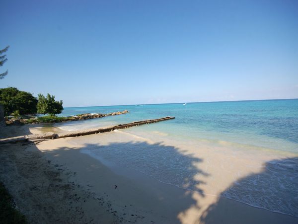 Jamaica Home 960539
