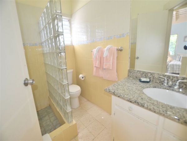 Jamaica Home 960541