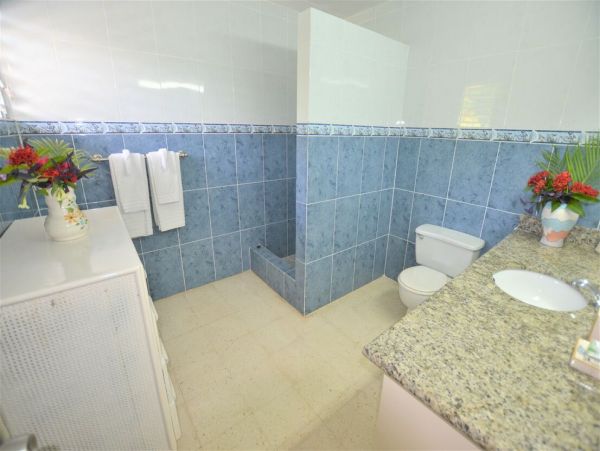 Jamaica Home 960541
