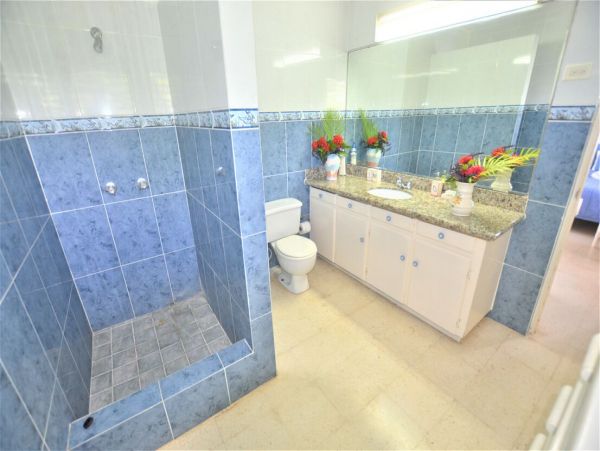 Jamaica Home 960541