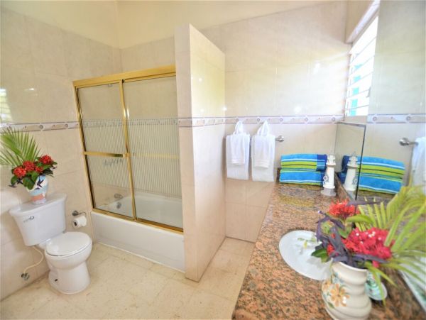 Jamaica Home 960541