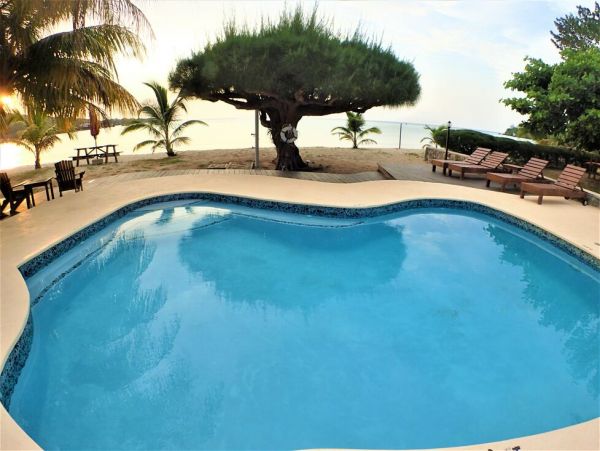 Jamaica Home 960547