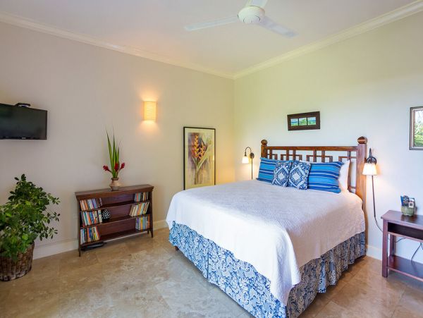 Jamaica Home 960549