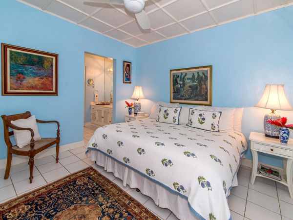 Jamaica Home 960559