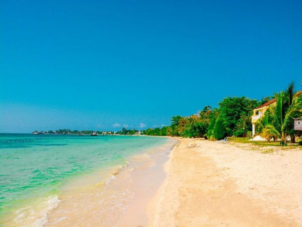 Jamaica Home 960561