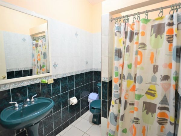 Jamaica Home 960564