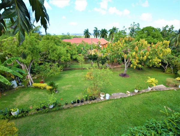 Jamaica Home 960564