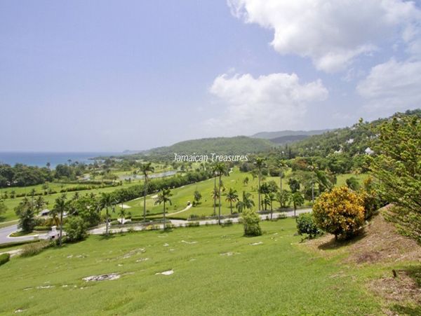 Jamaica Home 960571