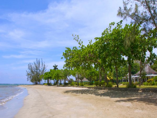 Jamaica Home 960586