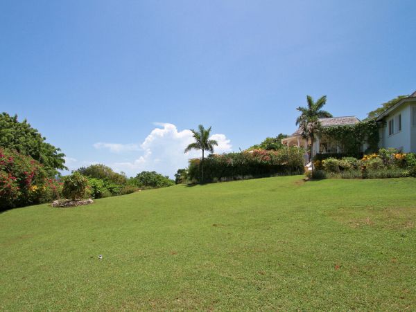 Jamaica Home 960595