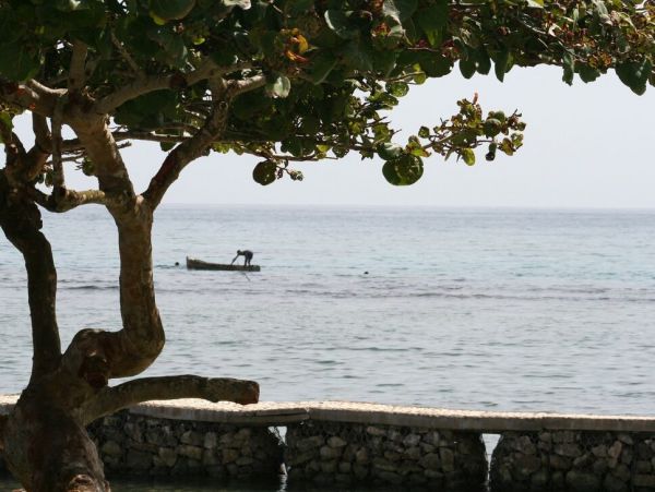 Jamaica Home 960631