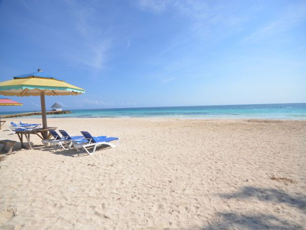 Jamaica Home 960641