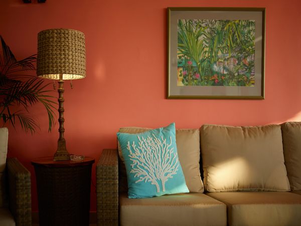 Jamaica Home 960657