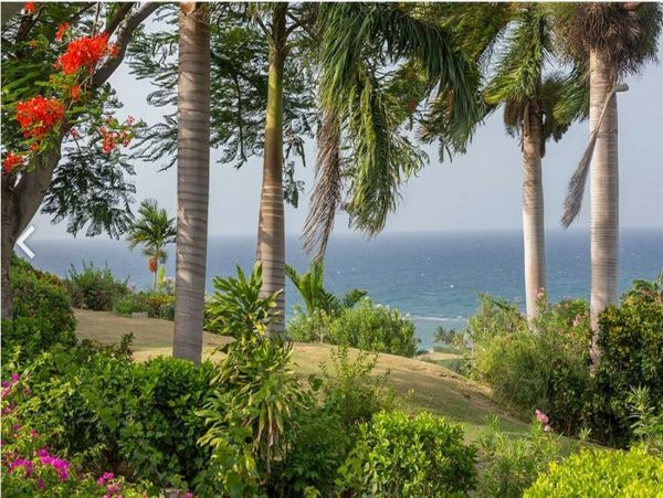 Jamaica Home 960658