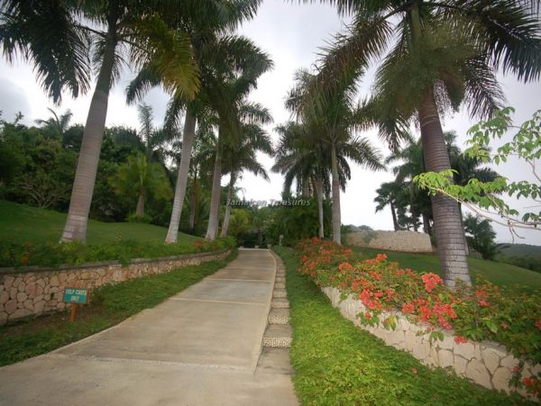 Jamaica Home 960660