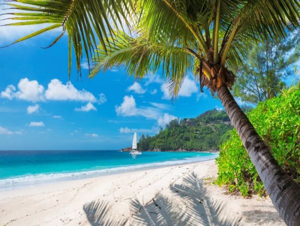 Bay Front Vacation Villa in Jamaica Sleeps 10 Guests
