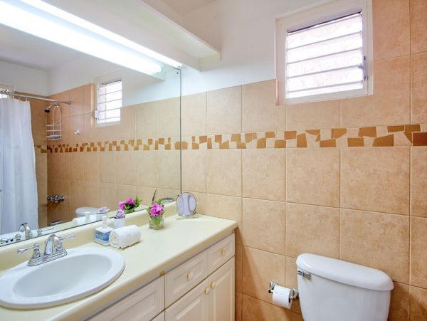Jamaica Home 960703