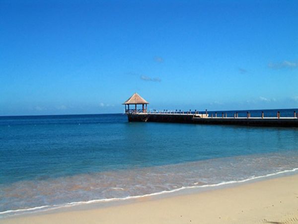 Jamaica Home 960708