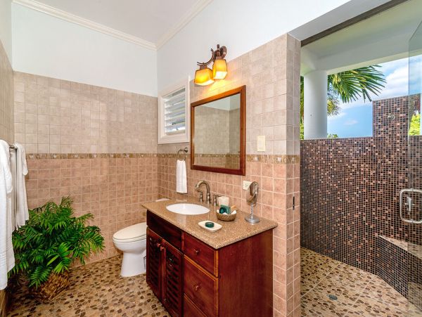 Jamaica Home 960757
