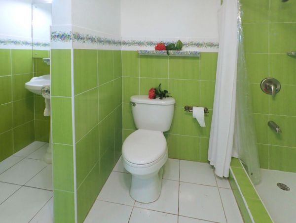 Jamaica Home 960762