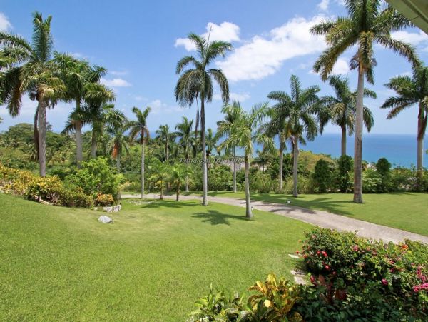 Jamaica Home 960775
