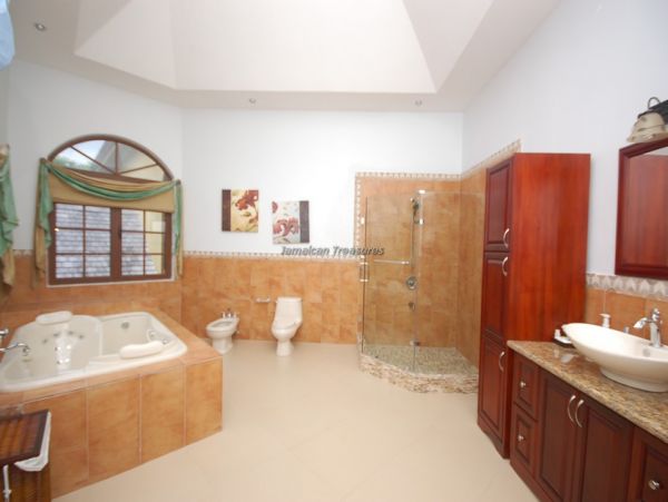 Jamaica Home 960805