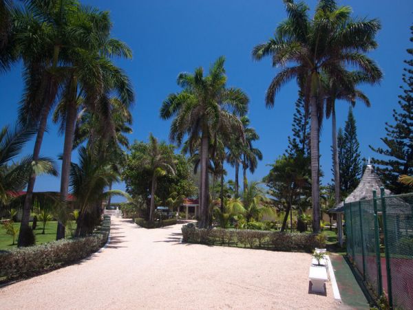 Jamaica Home 960808