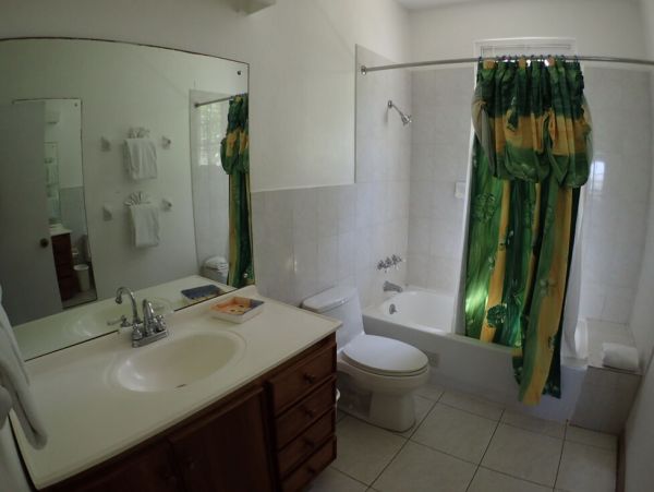 Jamaica Home 960810