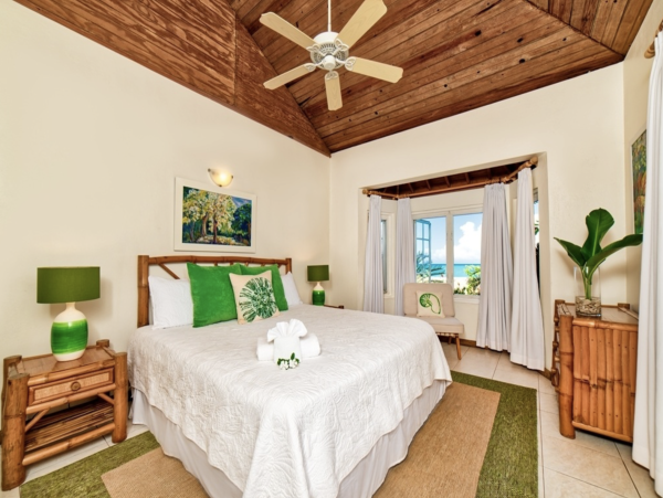 Stunning Villa For Your Next Vacation Jamaica