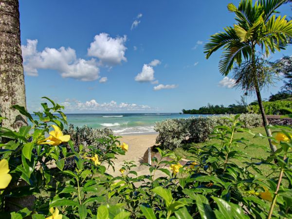 Jamaica Home 960818