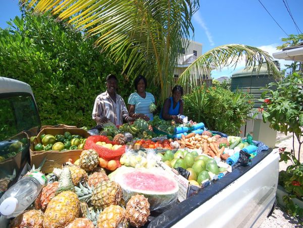 Jamaica Home 960834