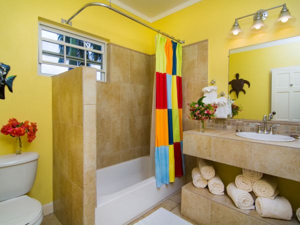 Jamaica Home 960838