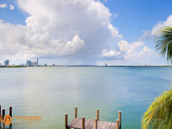 Miami Beach Home 960861